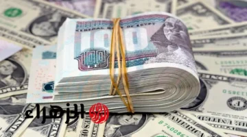 تطور جديد.. سعر الدولار مقابل الجنيه اليوم الأحد 5 أكتوبر 2025 مع أول تحديث بالبنوك 1